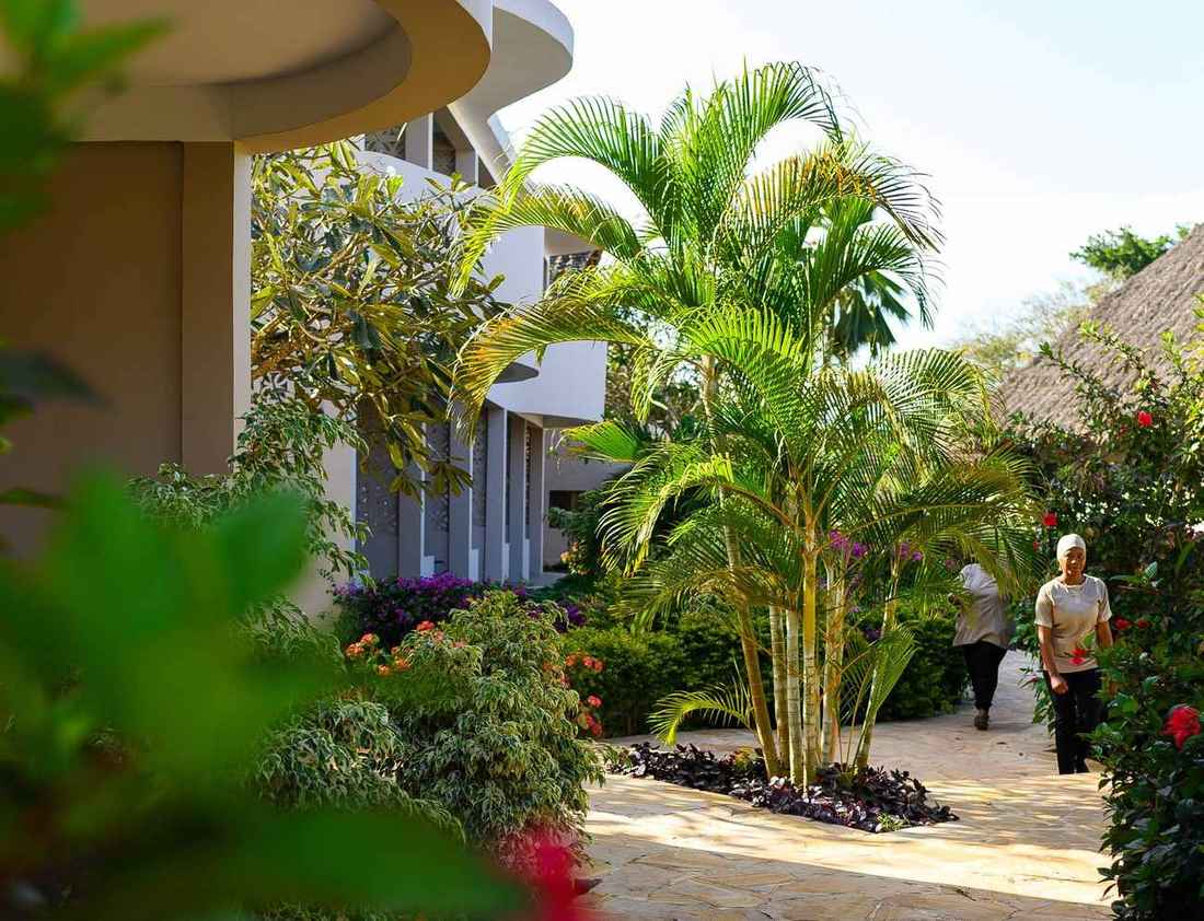 Tropical garden walkway of palms and bougainvillea